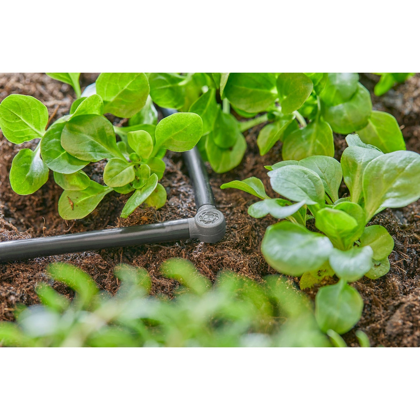 GARDENA l-stuk 4,6 mm (3 16 ) verbinding (donkergrijs, 10 stuks)