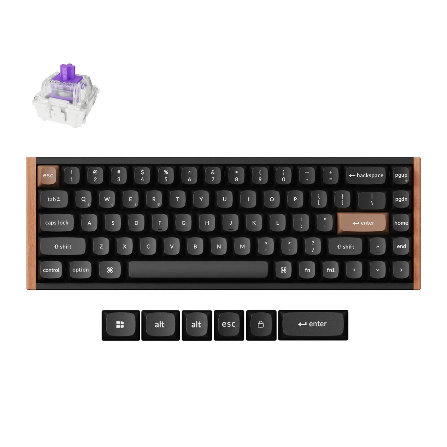 Keychron k6 he-f1 rgb mechanisch toetsenbord (zwart, us lay-out (qwerty), gateron double-rail magnetic nebula, 65%, rgb leds, osa double-shot pbt, hot swap, usb-c | 2.4 ghz | bluetooth 5.1)
