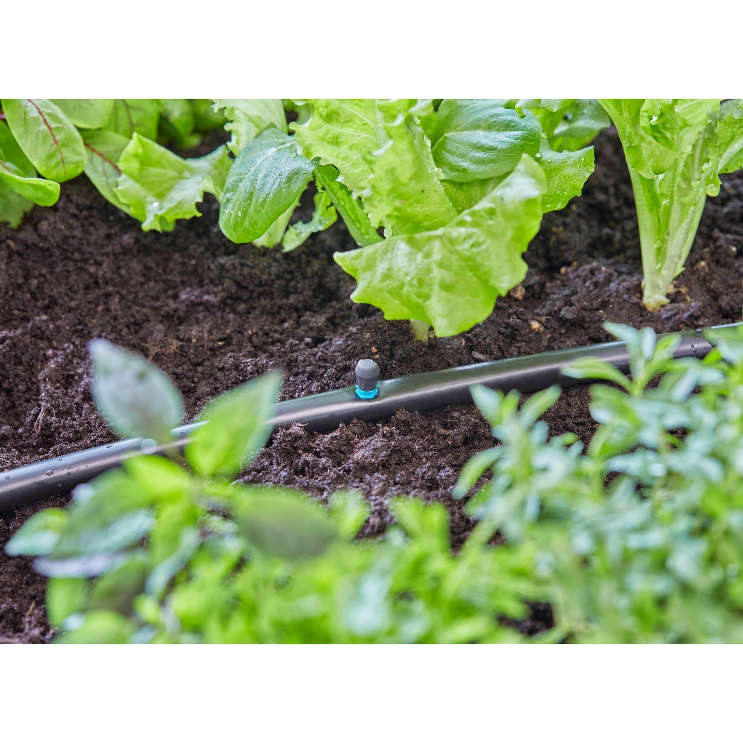 GARDENA micro-drip-system sproeier 90° (zwart turquoise, 5 stuks)