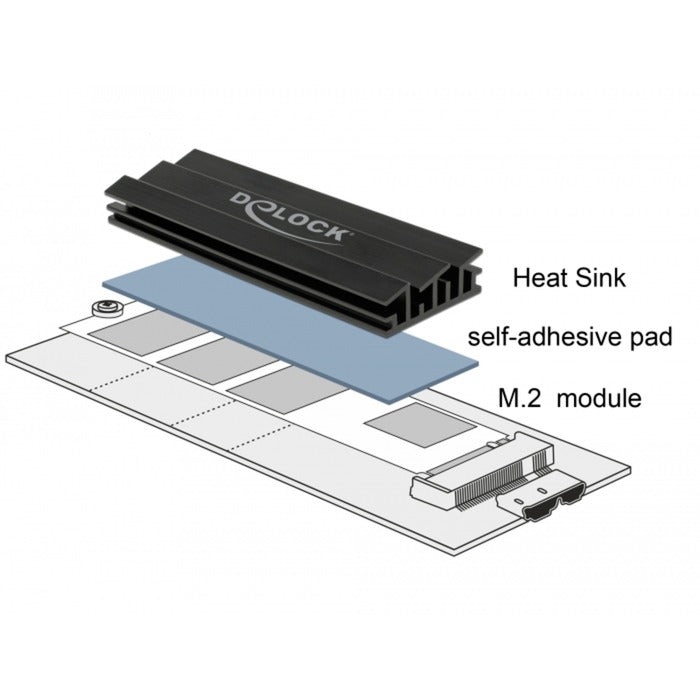 DeLOCK heatsink 100 mm voor m.2 module (zwart)