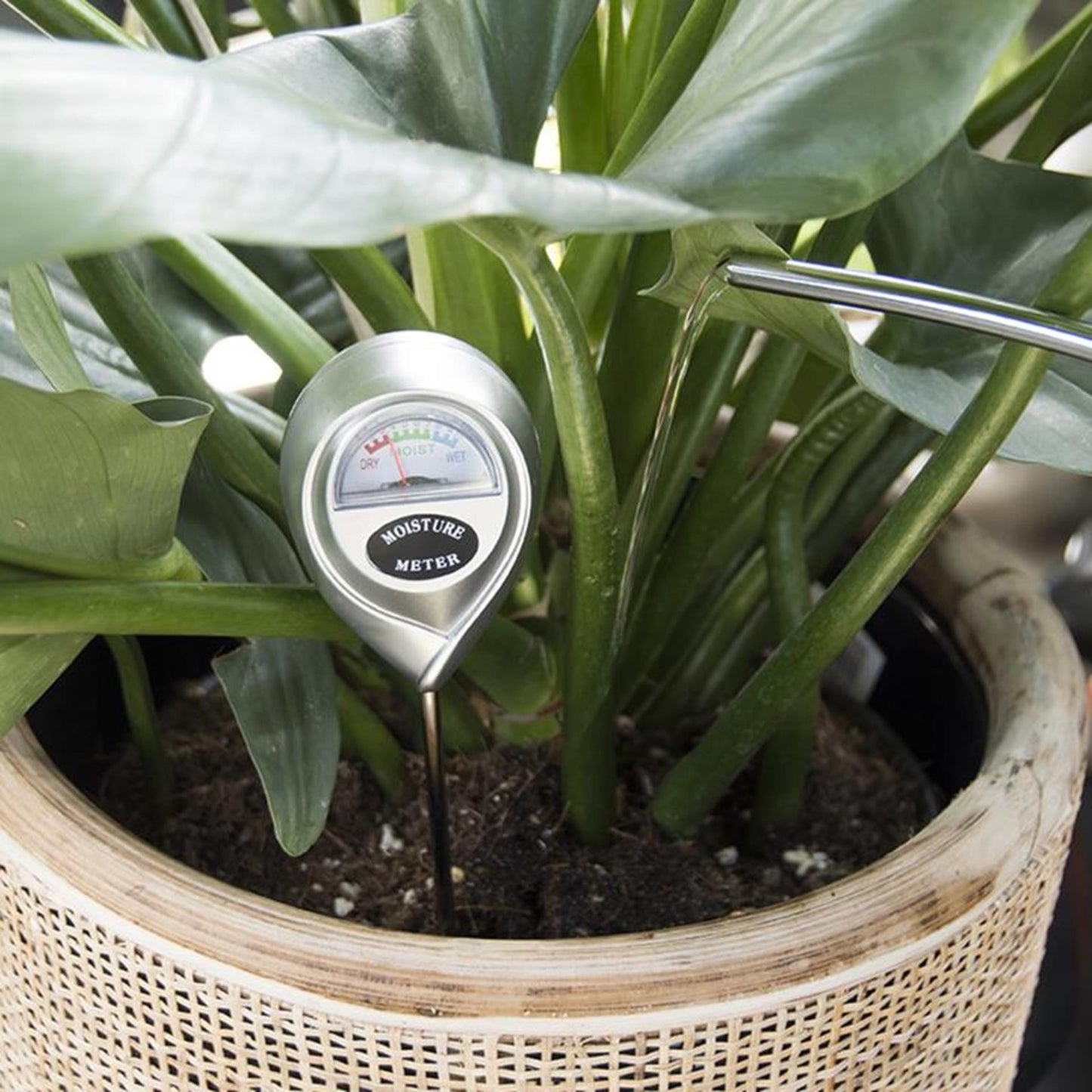 Esschert Design grondvochtmeter