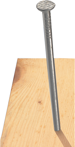 Connex nagel platte kop 3.8x100 1kg fe - kk1013899