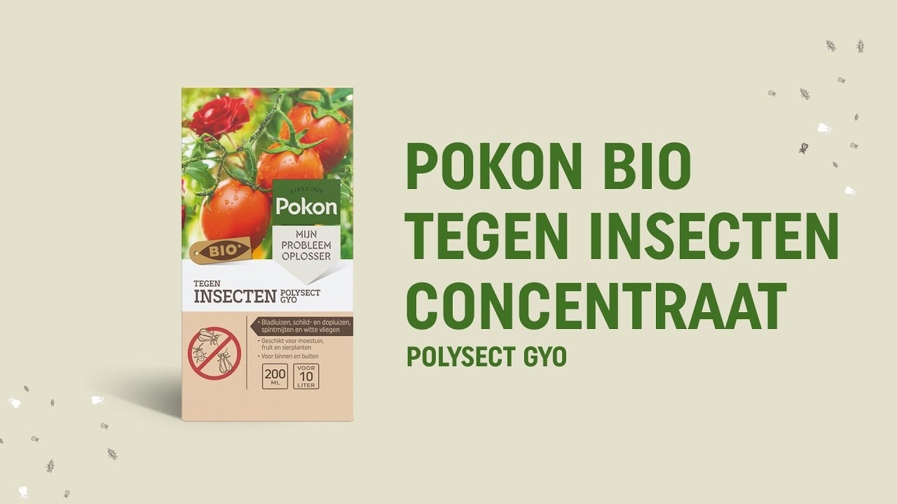 Pokon Producten bio tegen insecten concentraat 225ml polysect gyo