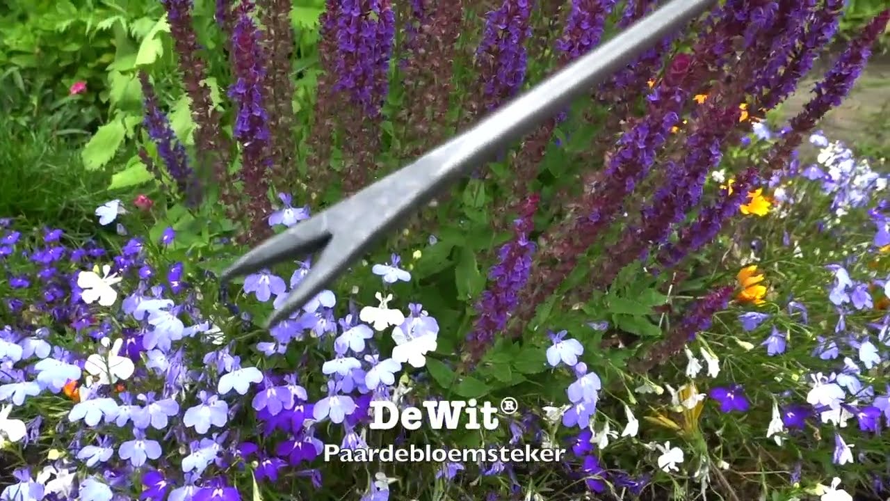 De Wit Producten bio paardenbloemsteker essen handvat 14cm stardewitstar