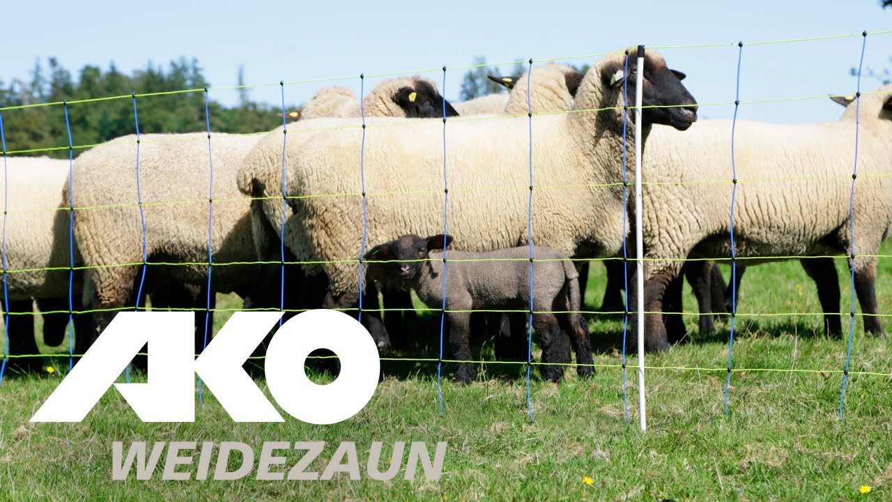 AKO Producten vervangende paal voor schapennet titan enkele pen 90cm