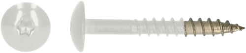 Pgb-Europe pgb-fasteners | hpl schroef tx20 4,8x38 r9016 a4 - tresp0a00038090163
