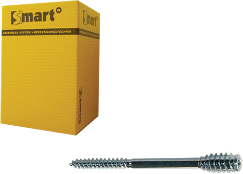 Pgb-Europe smart | afstandschroef t-drive t25 ø 6x250 zn | 25 st sm0ssc0010602503