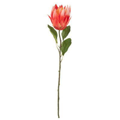J-Line kunstbloem protea rood 68 cm | 6 stuks
