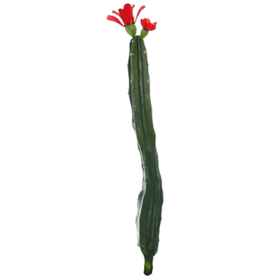 Cactus met bloem rood groen 35 cm | 24 stuks