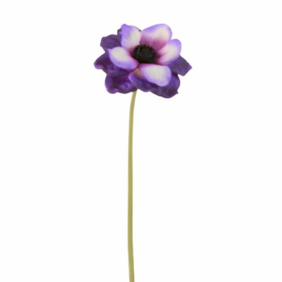 J-Line kunstbloem anemoon paars 40 cm | 24 stuks
