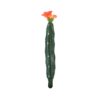Cactus met bloem oranje groen 23 cm | 24 stuks