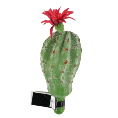 Bolcactus met bloem rood groen 15 cm | 48 stuks