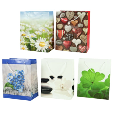 Geschenktas 25 cm 5 assorti | 25 stuks