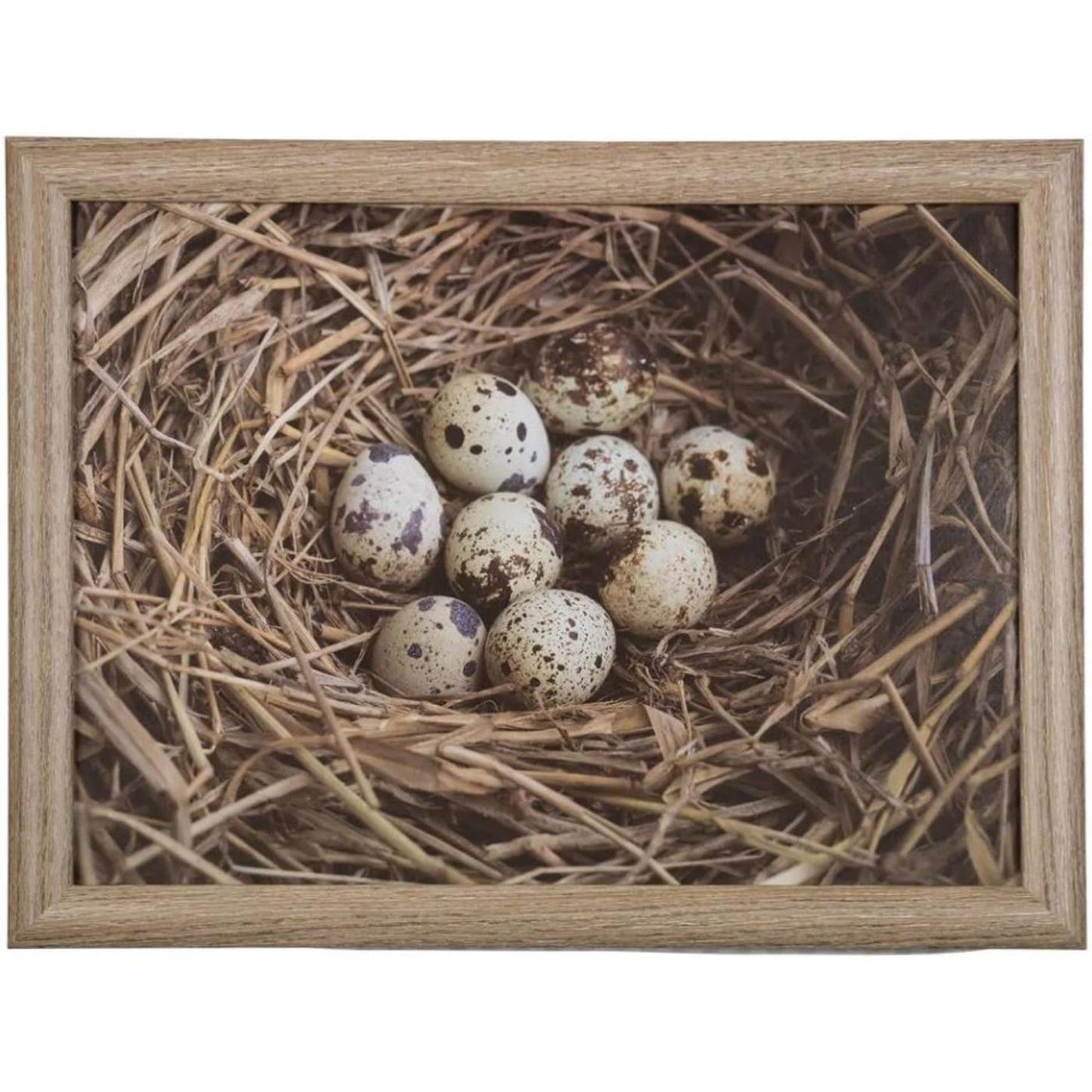 Mars More Schootkussen eieren in nest 43cm