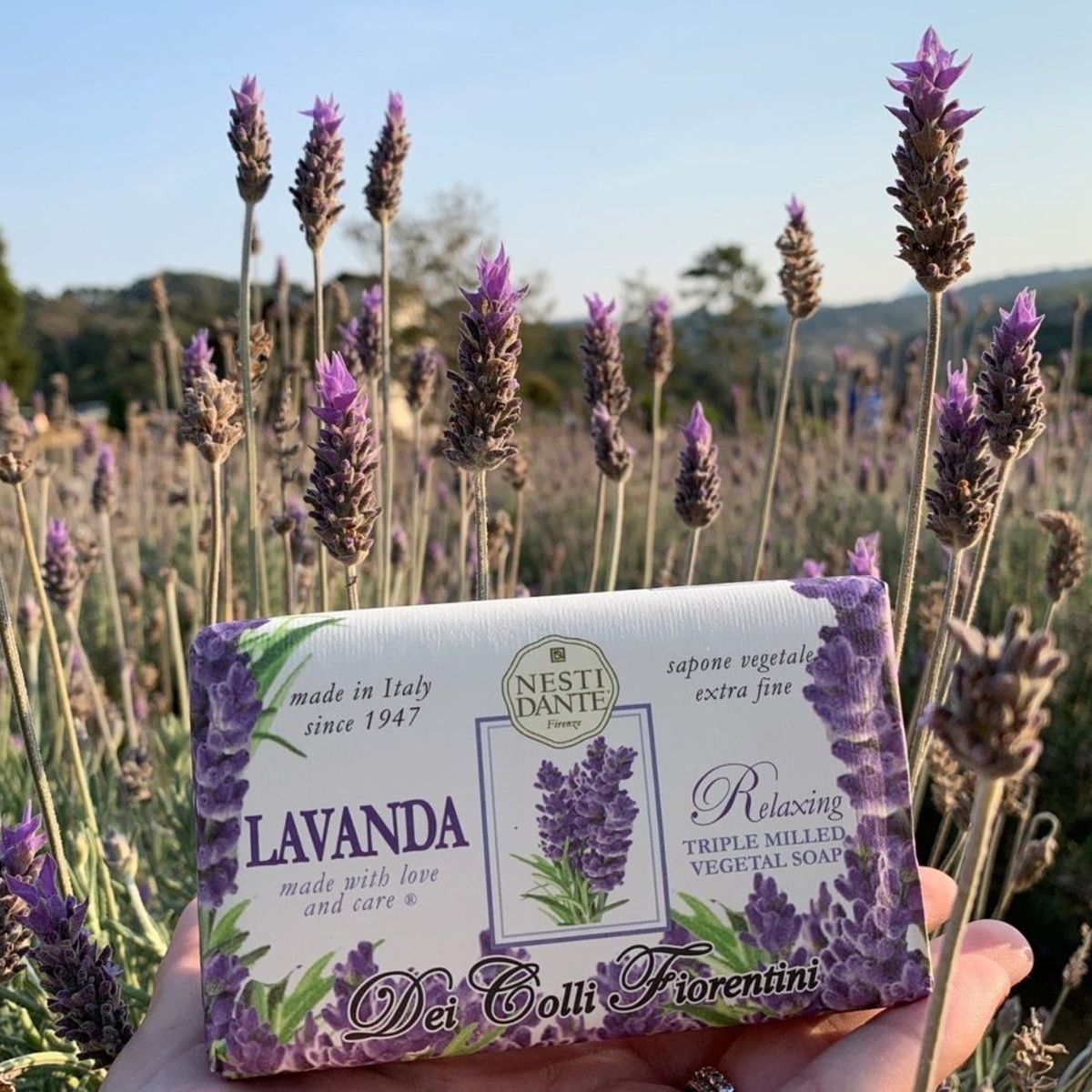 Nesti Dante fiorentini lavanda zeep 250gr.